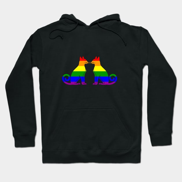 Cats love gay pride Hoodie by cypryanus